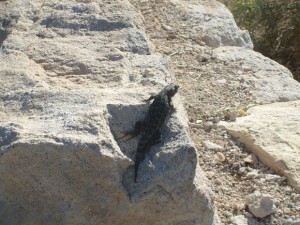 USA_08_ (191) (Copy)