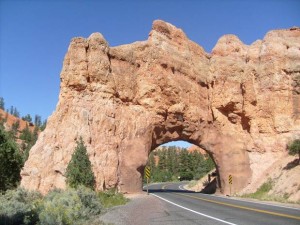 USA_08_ (202) (Copy)