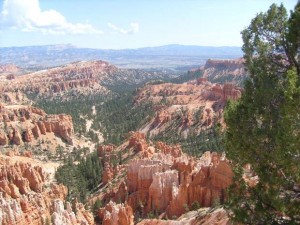 USA_08_ (205) (Copy)