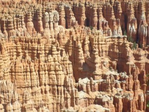 USA_08_ (206) (Copy)