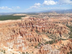 USA_08_ (208) (Copy)