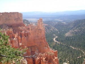 USA_08_ (210) (Copy)