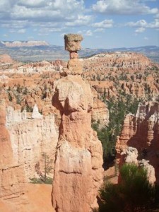 USA_08_ (220) (Copy)