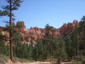 USA_08_ (230) (Copy)