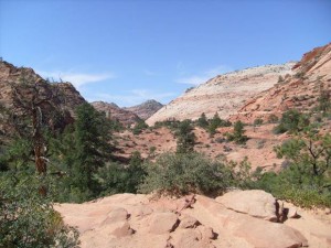 USA_08_ (246) (Copy)