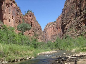 USA_08_ (250) (Copy)