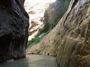 USA_08_ (253) (Copy)