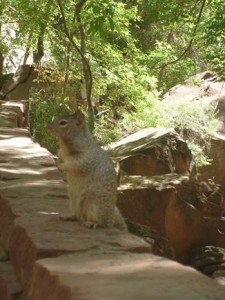 USA_08_ (258) (Copy)