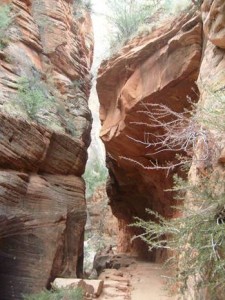 USA_08_ (266) (Copy)