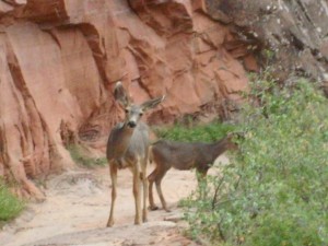 USA_08_ (283) (Copy)