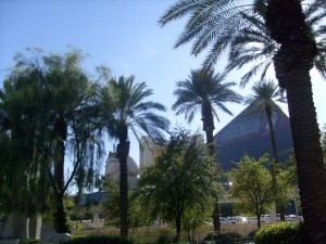 USA_08_ (330) (Copy)