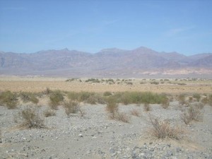 USA_08_ (342) (Copy)